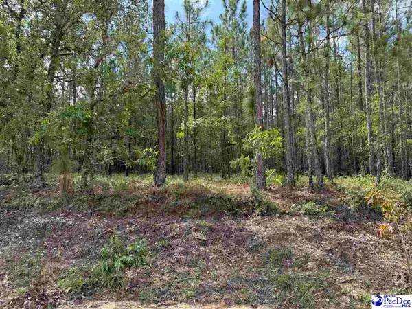 TBD Wire 2 Rd, Cheraw, SC 29520