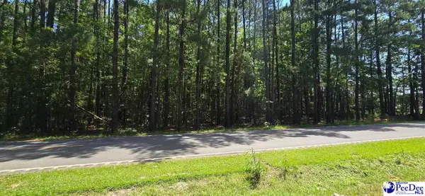 TBD4 Highway 111, Little River, SC 29566