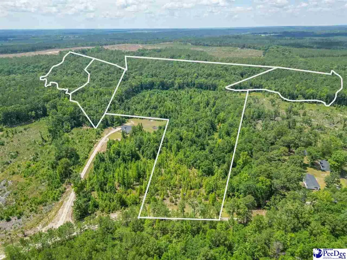 1020 Scotch Road, Chesterfield, SC 29709 - #1