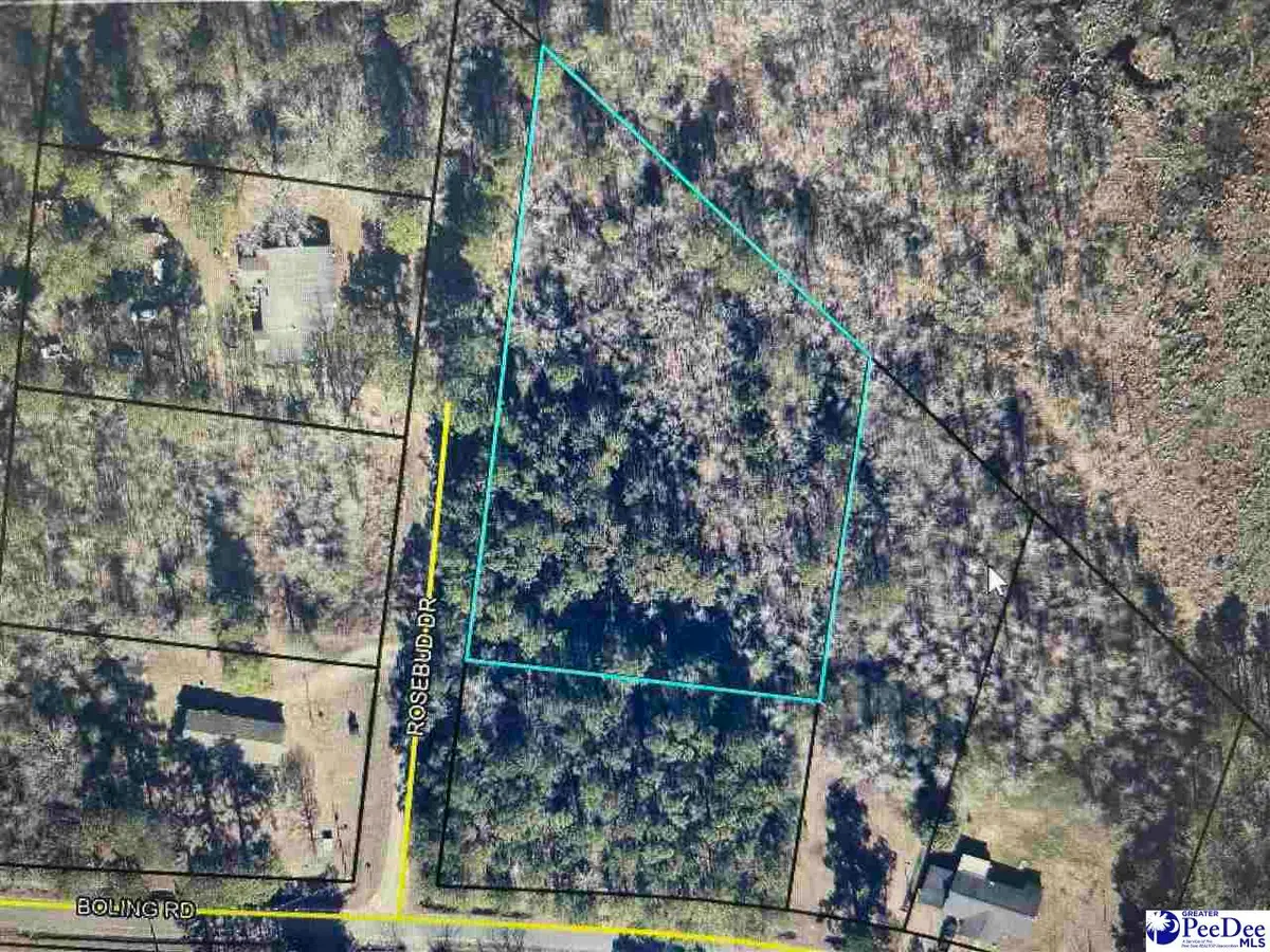1119 Rosebud Ln, Pamplico, SC 29583 - #1