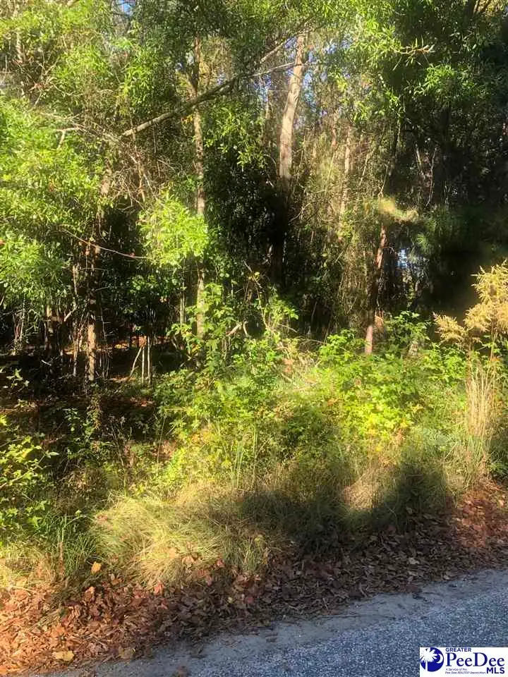 2440 S Robenson Ave, Florence, SC 29505 - #1