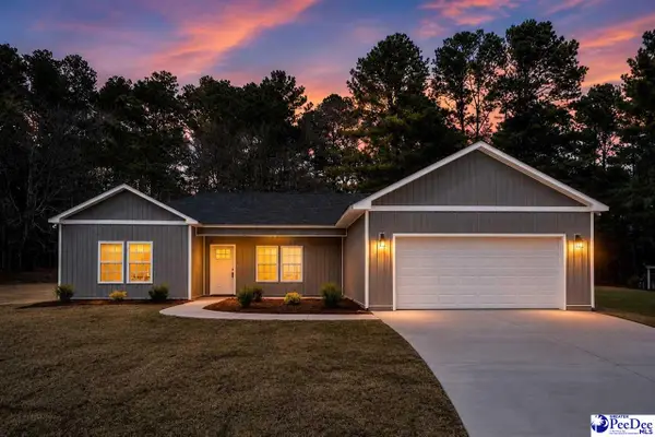 1022 Watkins Lane, Hartsville, SC 29550