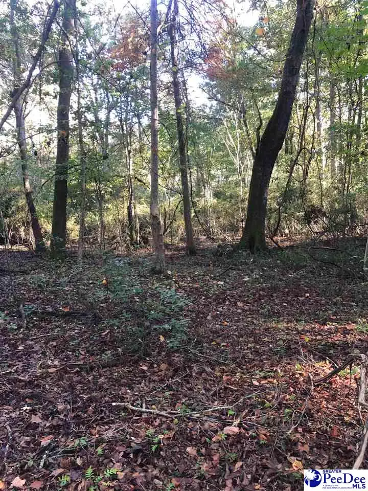 TBD Pineview St, Darlington, SC 29532 - #3