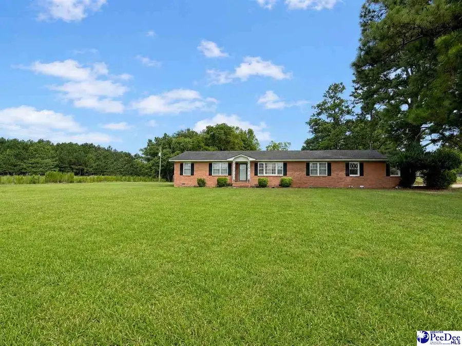 421 W New Hope Road, Coward, SC 29530 - #3