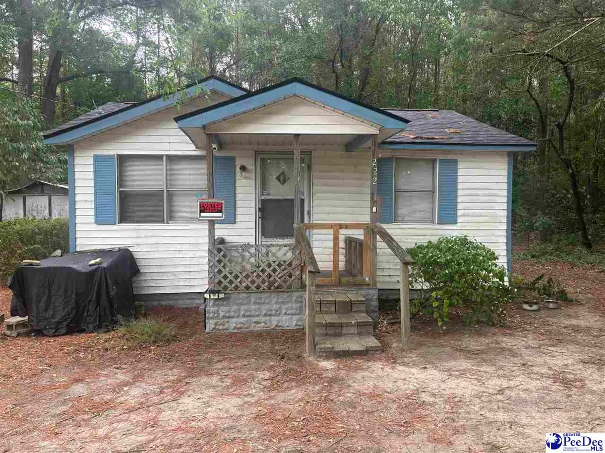 222 Emanuelville Loop, Dillon, SC 29536 - #1