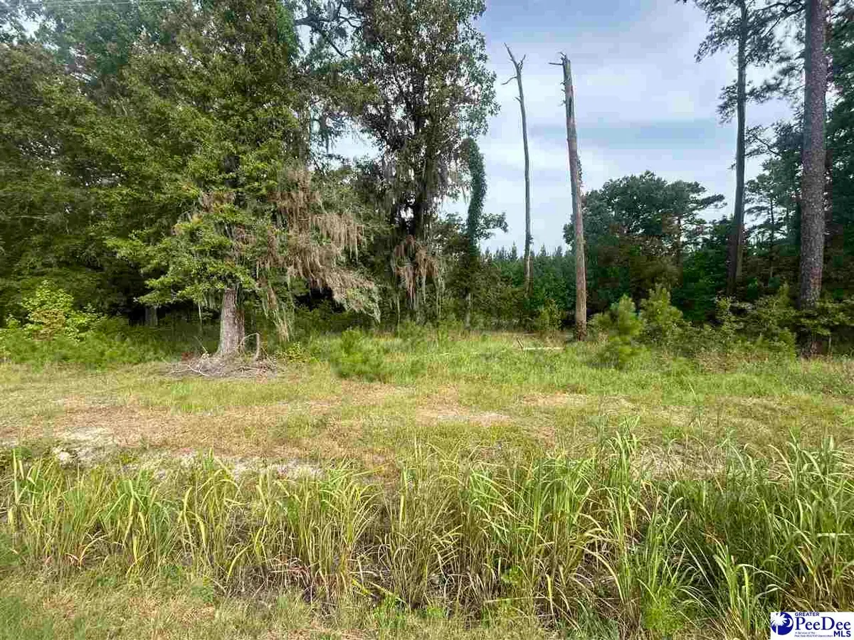 TBD Old #4 Highway, Coward, SC 29530 - #1