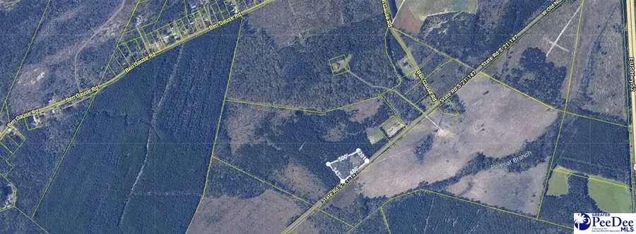 TBD Old #4 Highway, Coward, SC 29530 - #2
