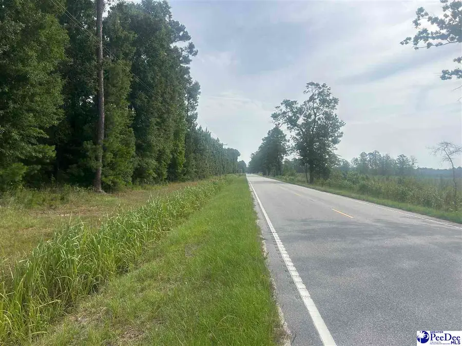 TBD Old #4 Highway, Coward, SC 29530 - #3