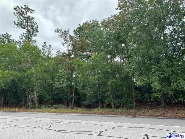 Hwy 151, Hartsville, SC 29550
