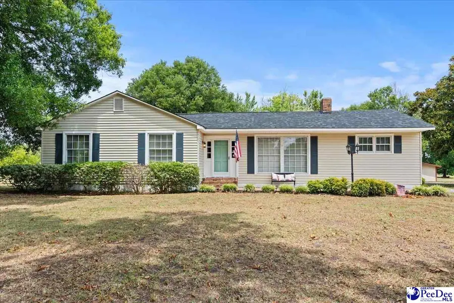 739 E Hampton Street, Olanta, SC 29114 - #3