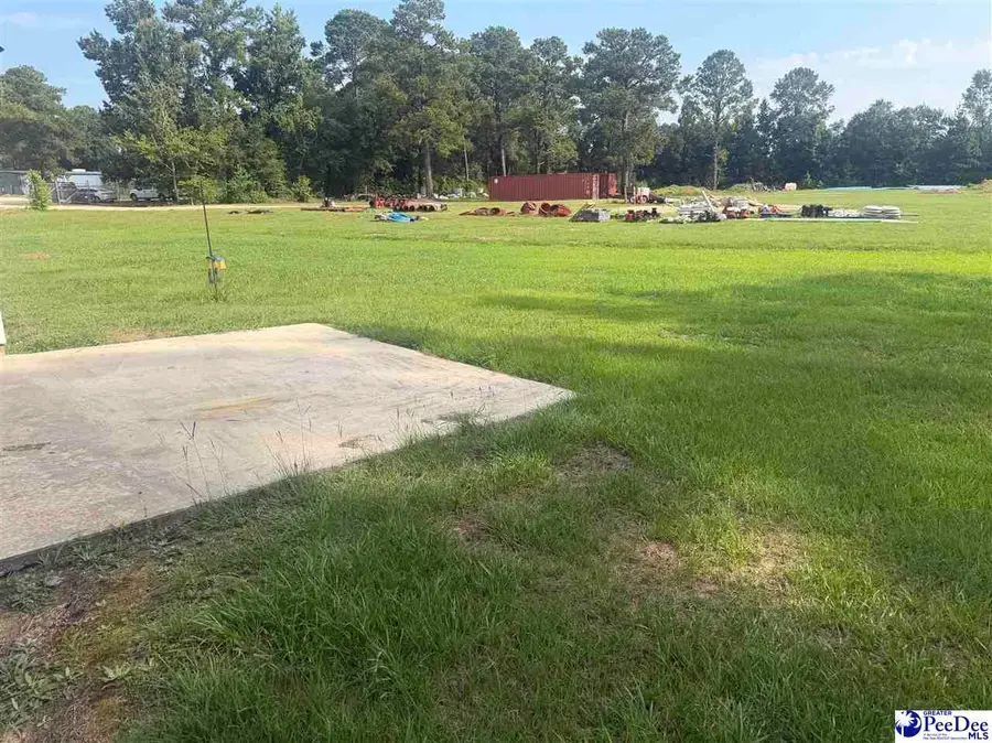 304 Livery Court, Florence, SC 29505 - #2