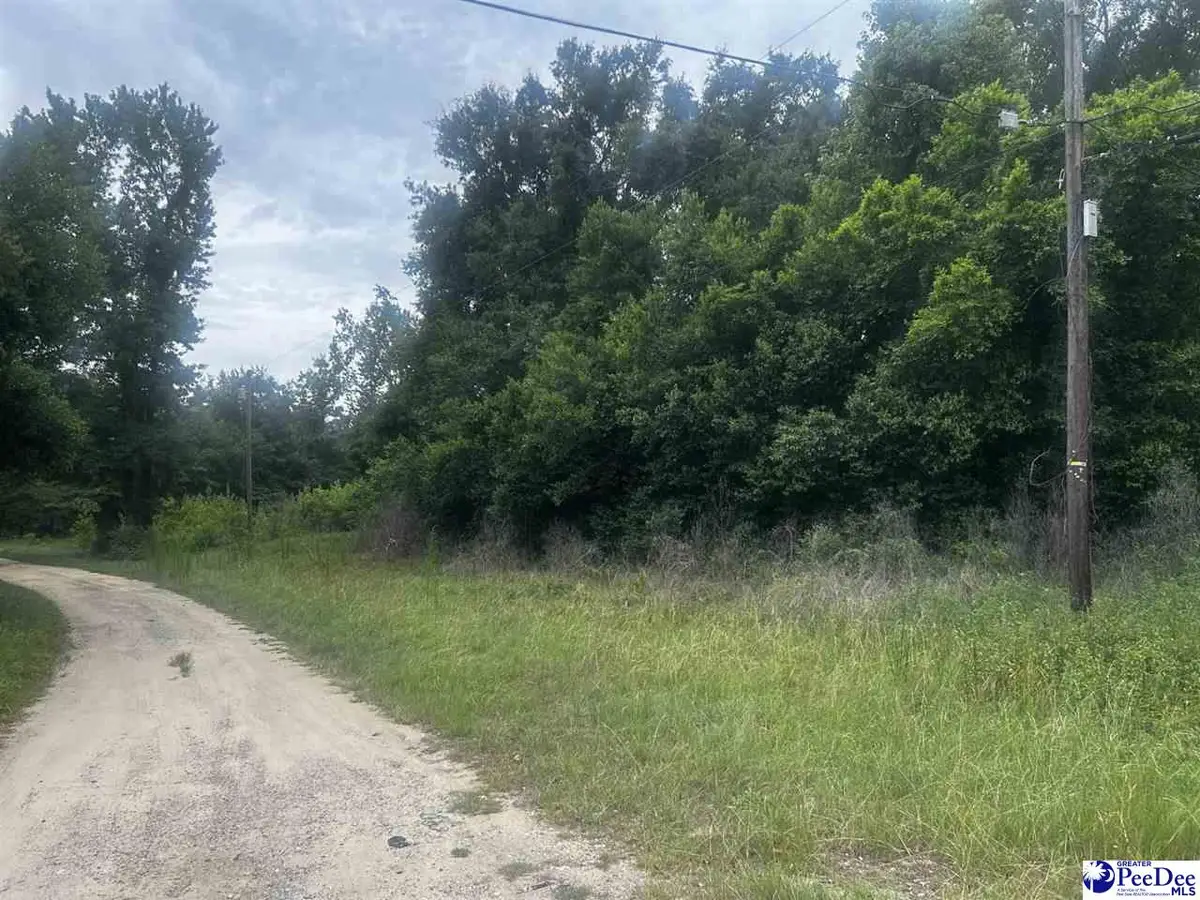 TBD S 22nd Ave., Dillon, SC 29356 - #1