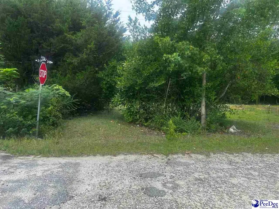 TBD S 22nd Ave., Dillon, SC 29356 - #2