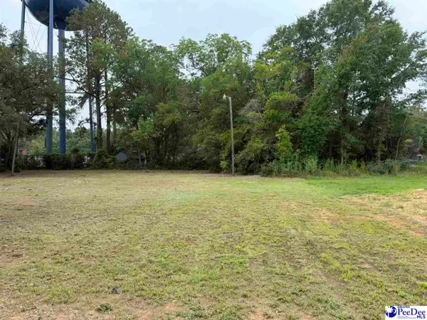 1002 E Dargan St, Dillon, SC 29536