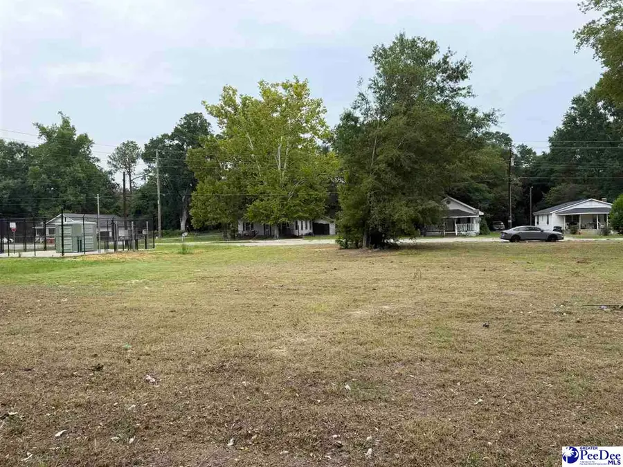 1002 E Dargan St, Dillon, SC 29536 - #2