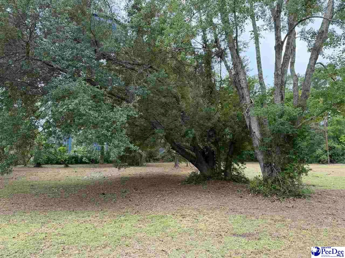 1006 E Dargan St, Dillon, SC 29536 - #1