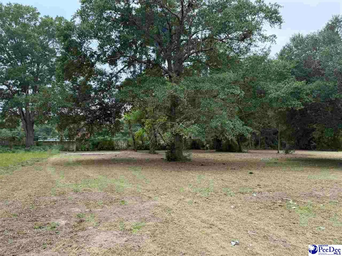1008 E Dargan St, Dillon, SC 29536 - #1