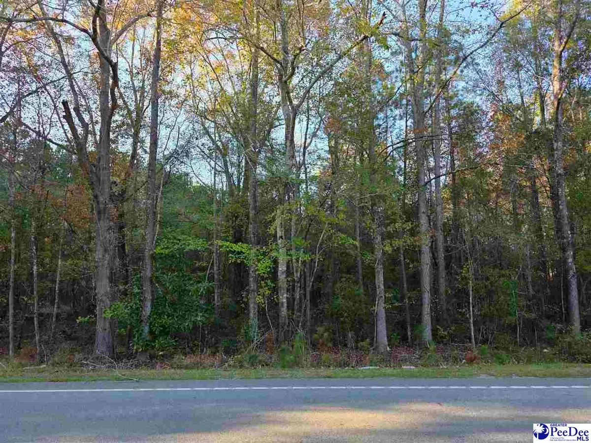 1317 Major Drive, Hartsville, SC 29550 - #1