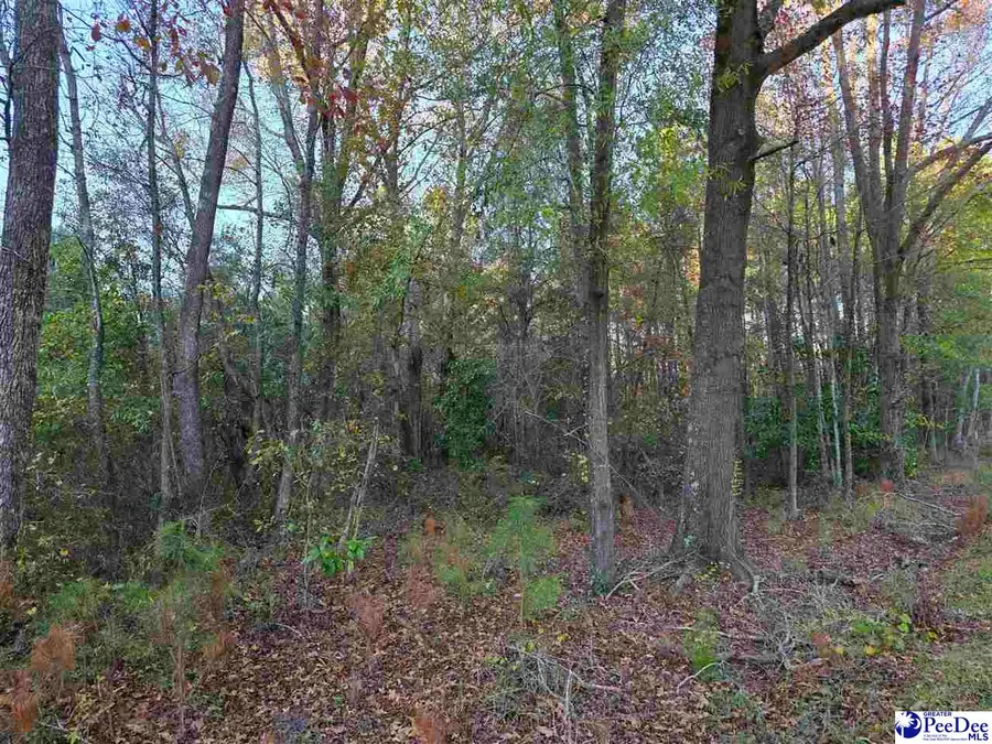 1317 Major Drive, Hartsville, SC 29550 - #3