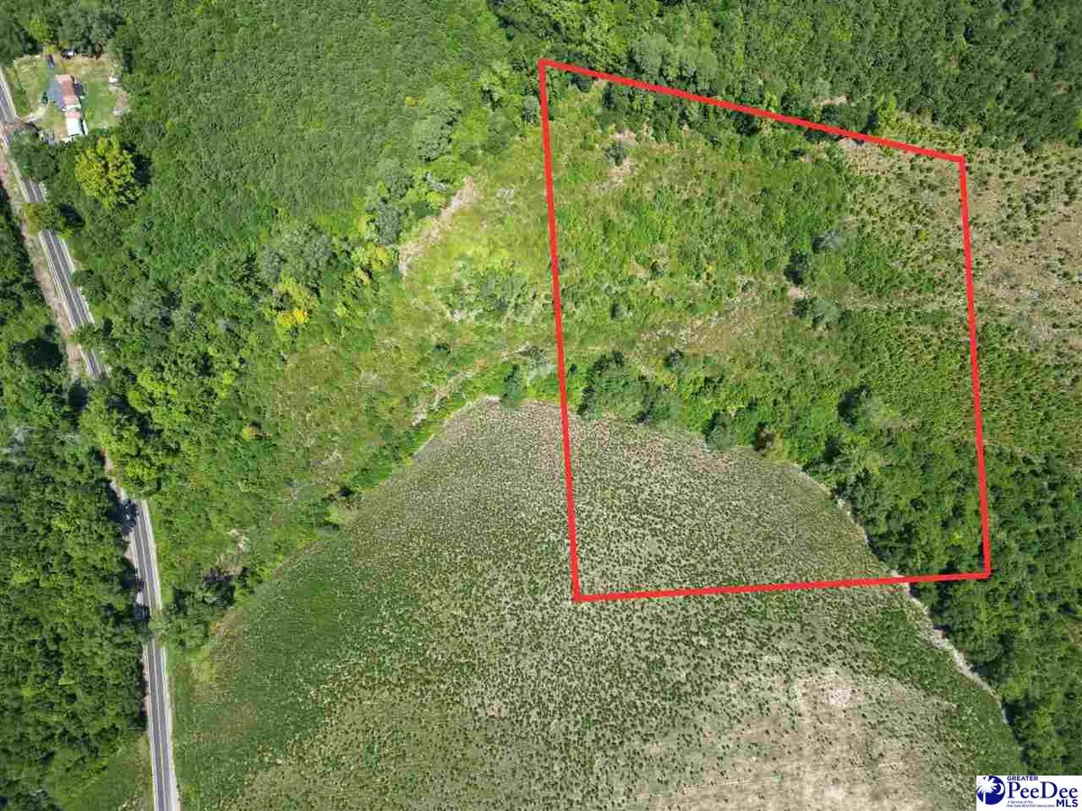 9.14 Acress Off Dalcho Rd, Latta, SC 29565 - #1