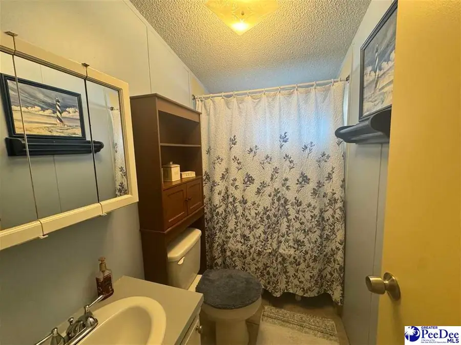 4341 Lake Swamp Road, Timmonsville, SC 29161 - #3