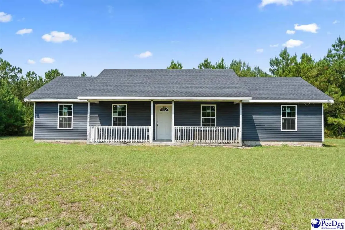 383 Red Rd., Olanta, SC 29114 - #1