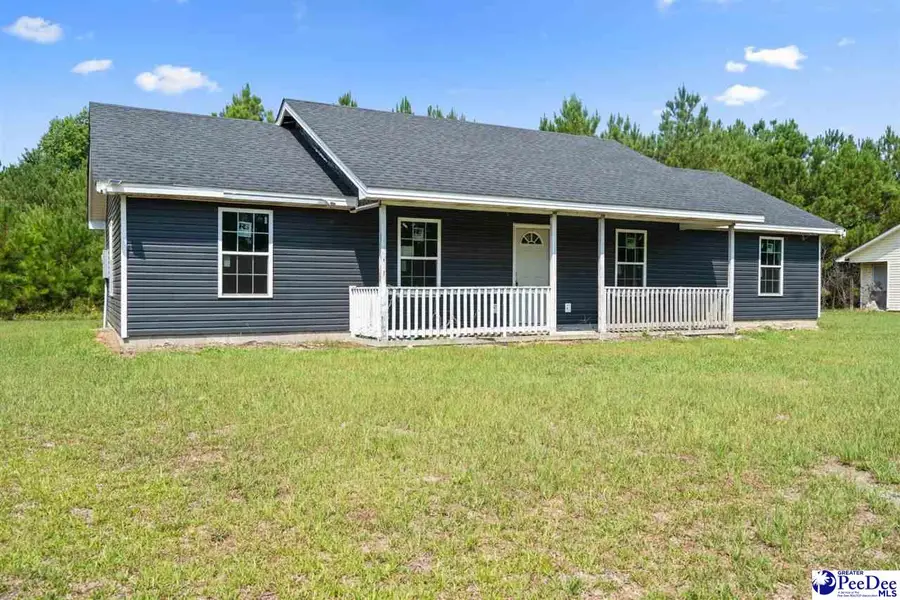 383 Red Rd., Olanta, SC 29114 - #2