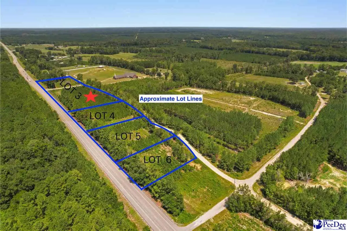 TBD Piney Grove Church Road, Gresham, SC 29546 - #1