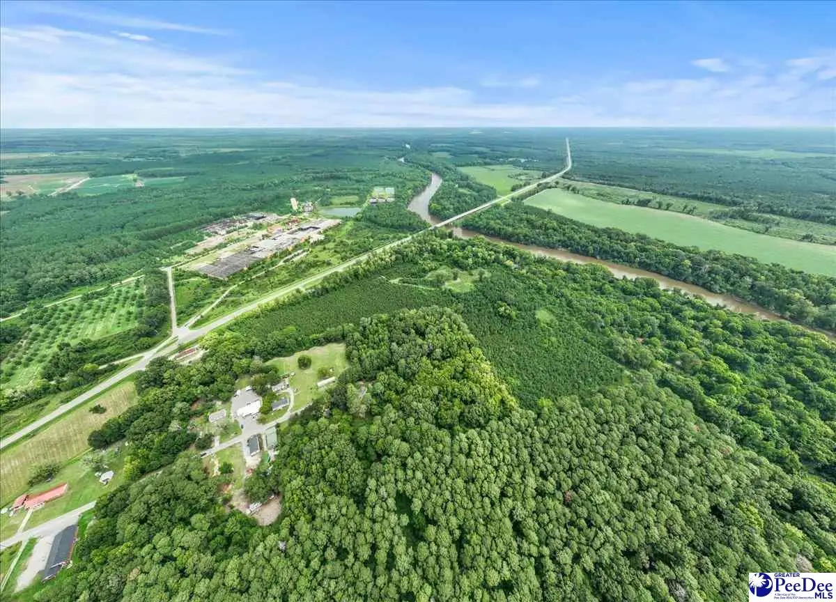 Williamson Drive, Society Hill, SC 29593 - #1