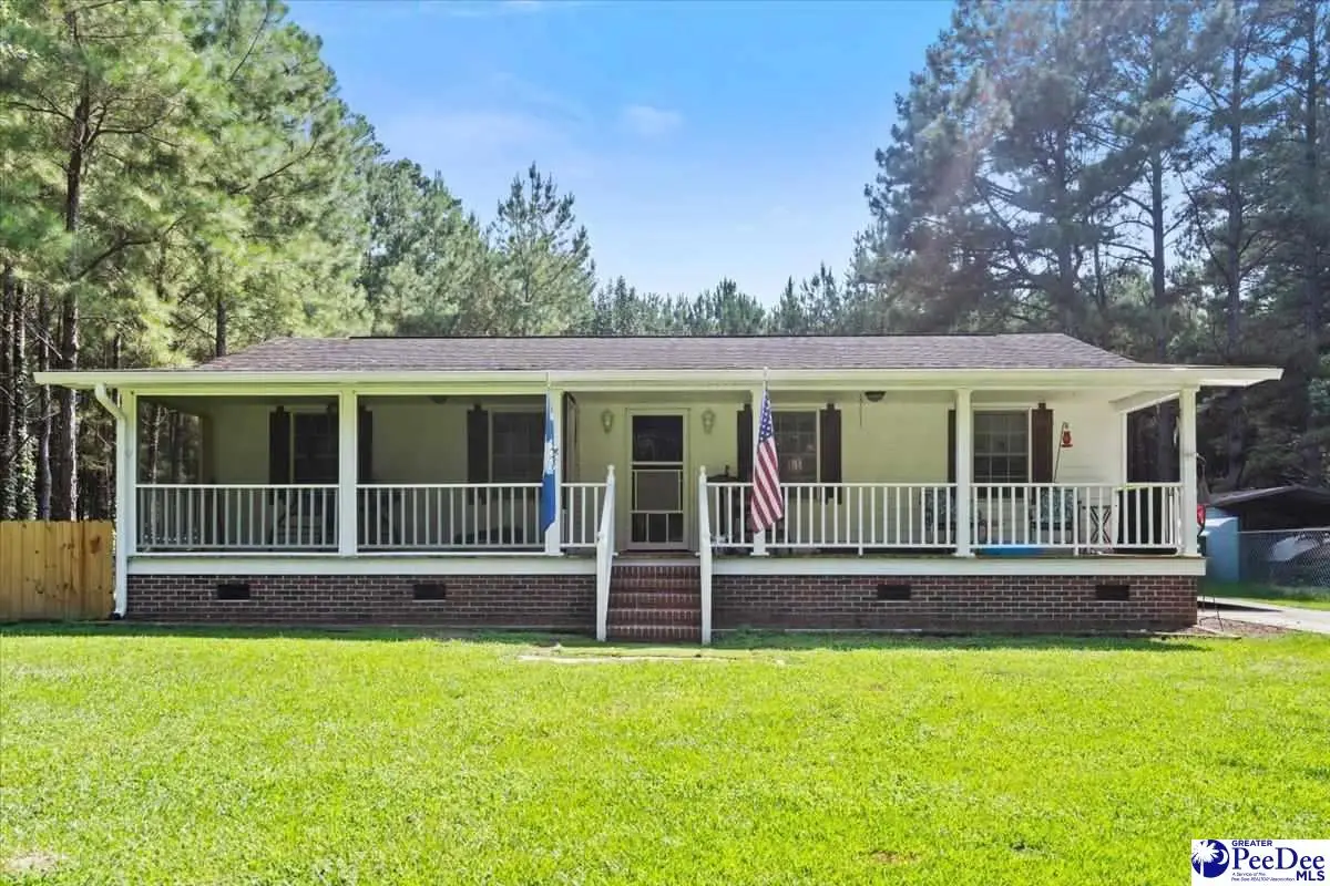 4448 Charlie Cade Road, Effingham, SC 29541 - #1