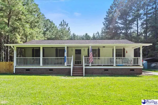 4448 Charlie Cade Road, Effingham, SC 29541