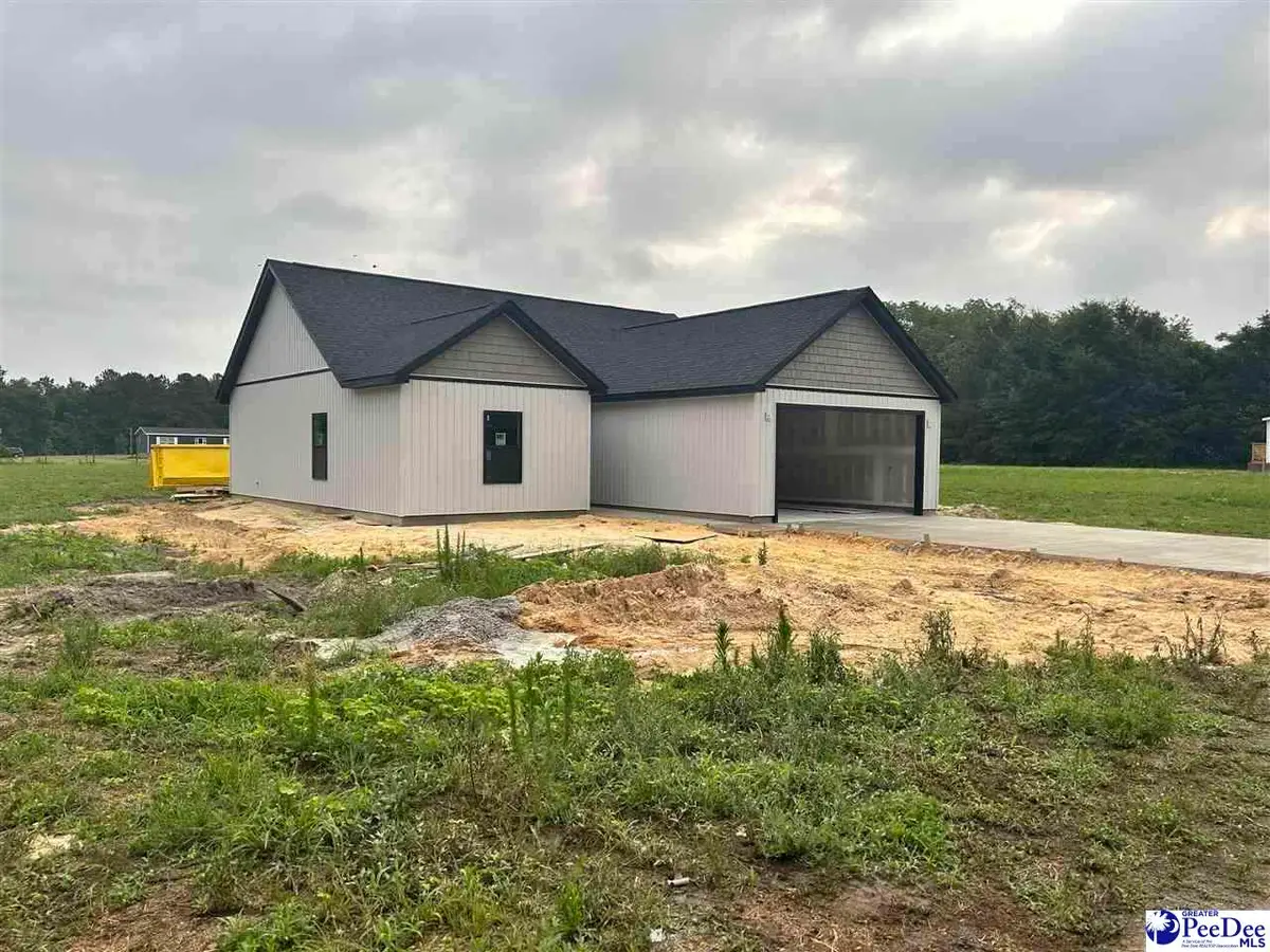 114 Tranquility Trail, Hartsville, SC 29550-0000 - #1