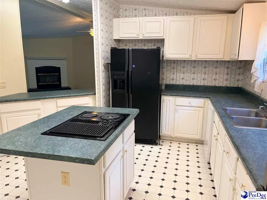 7330 Greenview Loop, Nichols, SC 29581 - #3