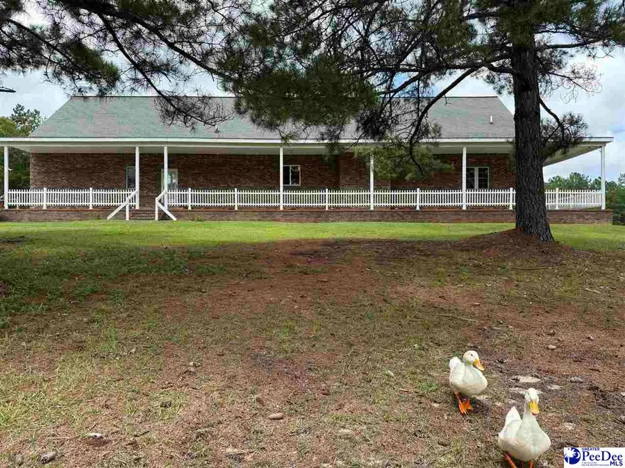 2142 Highway 177, Wallace, SC 29596 - #2