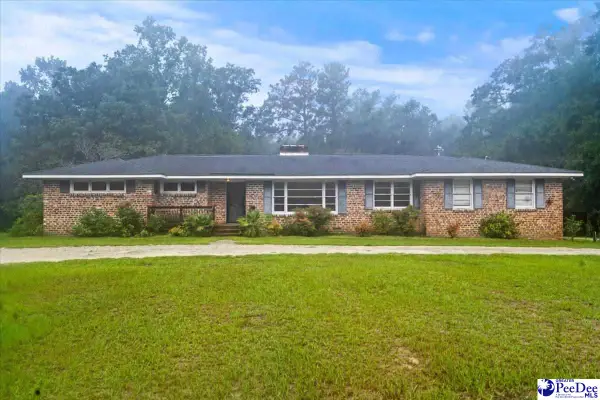 603 White Oak Drive, Johnsonville, SC 29555