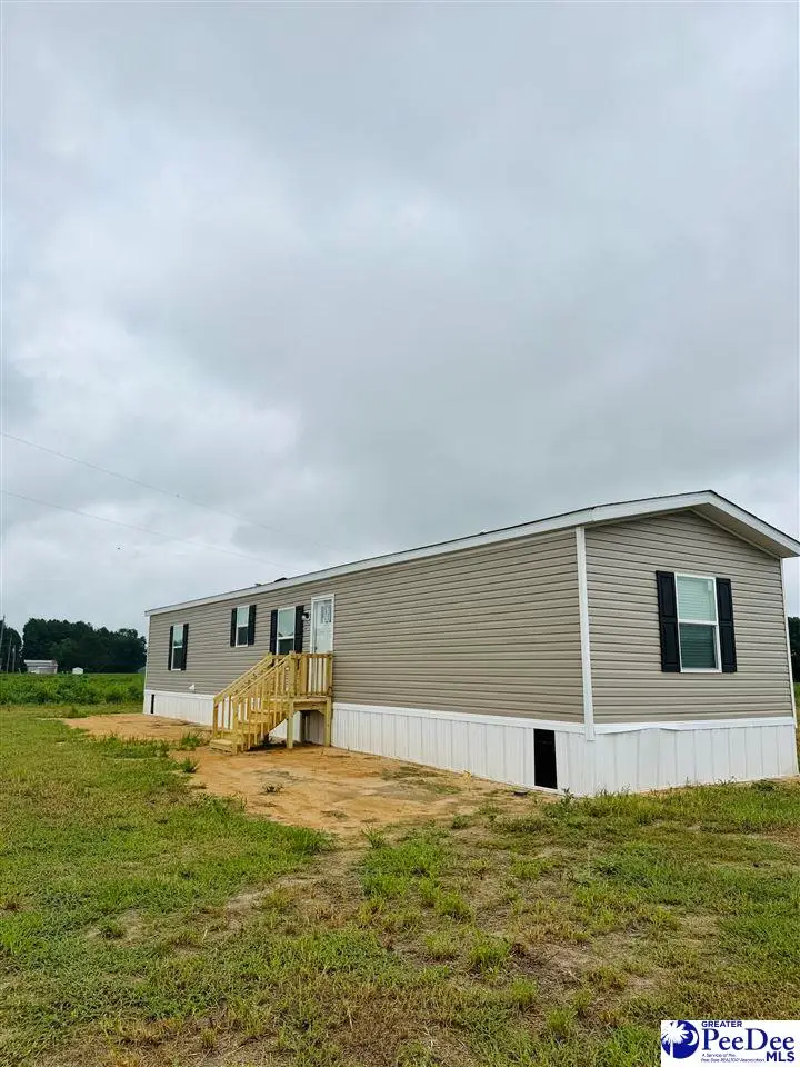 1497 Old Hamer Rd., Hamer, SC 29574 - #1