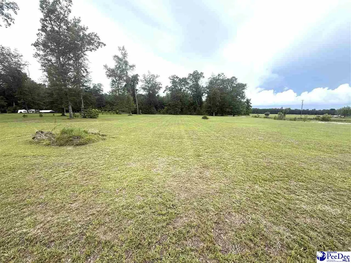 Plantation Rd, Johnsonville, SC 29555 - #1