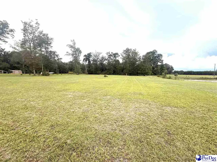 Plantation Rd, Johnsonville, SC 29555 - #2