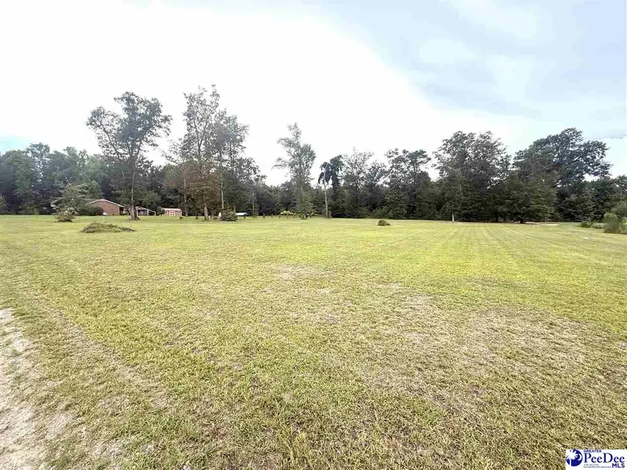Plantation Rd, Johnsonville, SC 29555 - #3