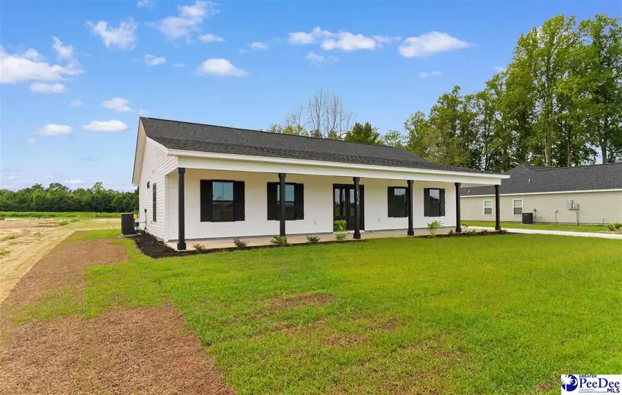 3170 Chapel Road, Loris, SC 29569 - #2