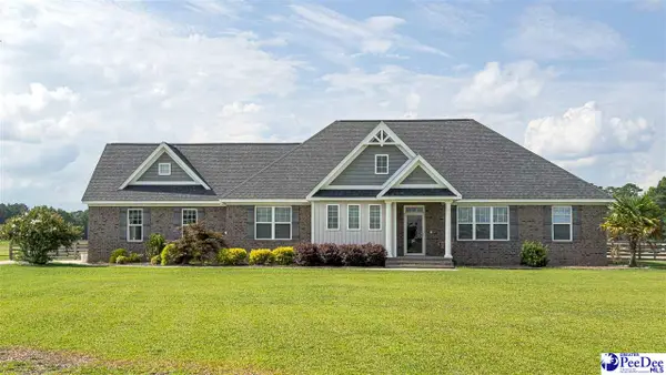 1119 Mclaughlin Rd, Effingham, SC 29541