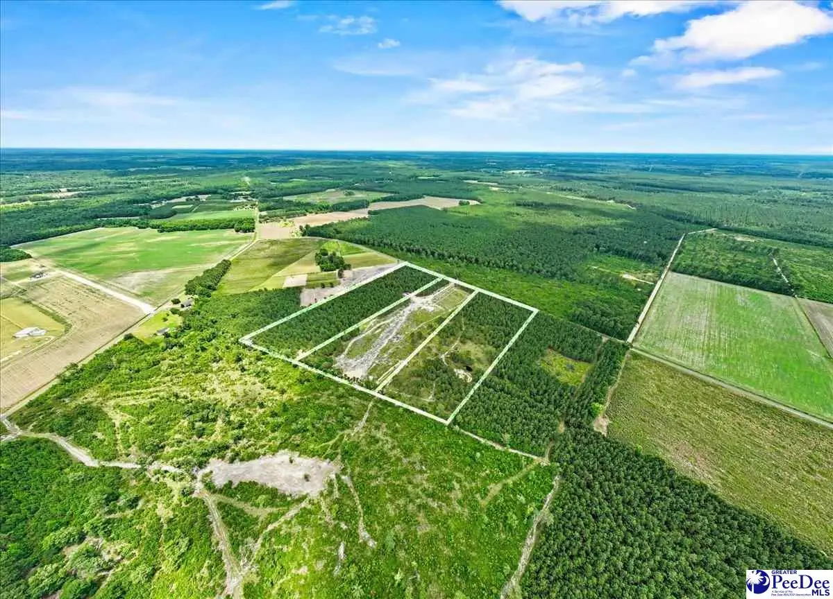 Lot 1 Tbd Cockfield Road, Scranton, SC 29591 - #1