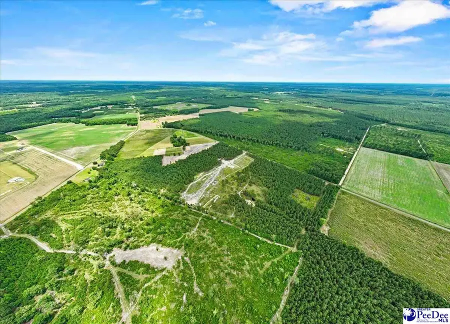 Lot 1 Tbd Cockfield Road, Scranton, SC 29591 - #3