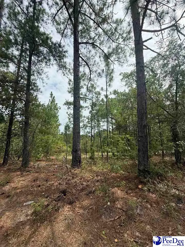 TBD Sheridan Oliver Road, Ruby, SC 29741 - #1