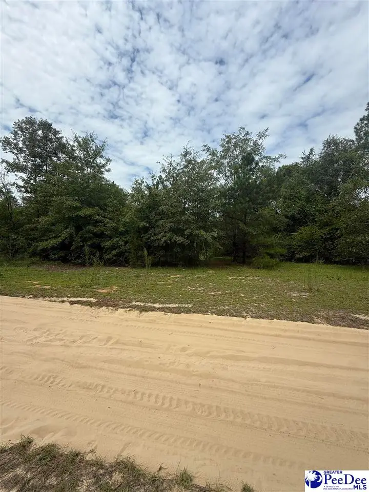 TBD Sheridan Oliver Road, Ruby, SC 29741 - #2