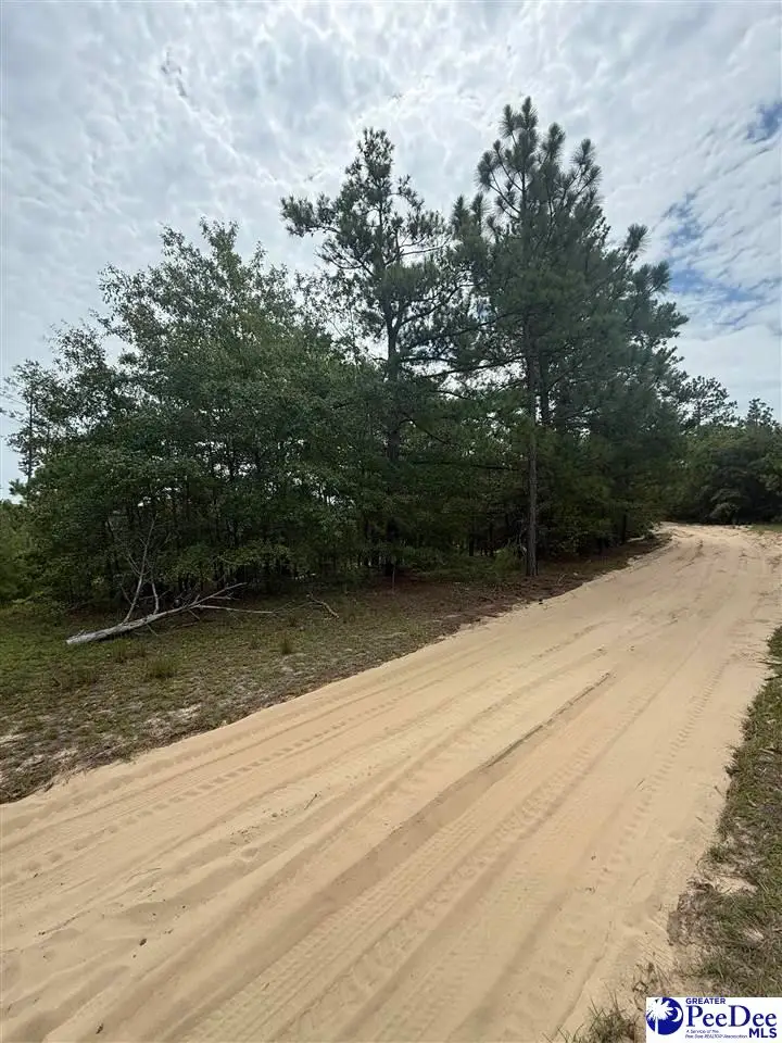 TBD Sheridan Oliver Road, Ruby, SC 29741 - #3