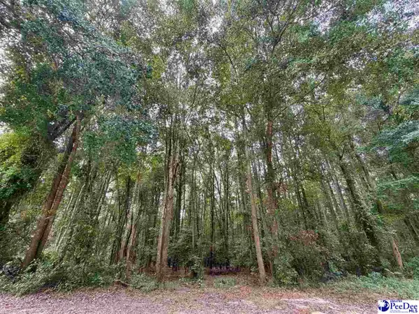 Pleasant Valley Road, Cheraw, SC 29520