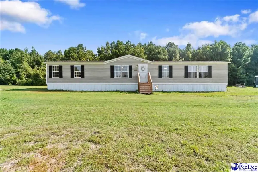 10026 Hardwick Road, Nichols, SC 29581 - #2