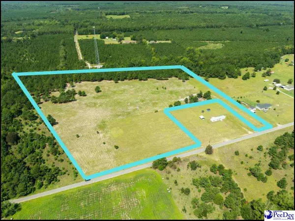 2247 Horseshoe Road, Pamplico, SC 29506