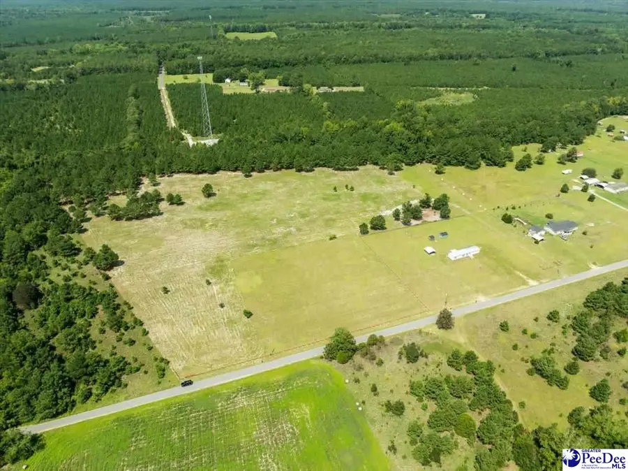 2247 Horseshoe Road, Pamplico, SC 29506 - #2